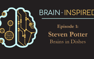 BI 001 Steven Potter: Brains in Dishes