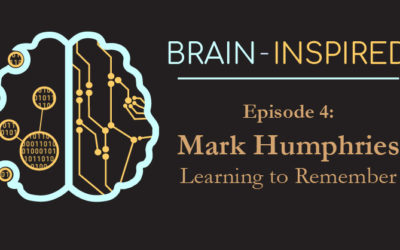 BI 004 Mark Humphries: Learning to Remember