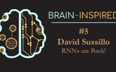 BI 005 David Sussillo: RNNs are Back!