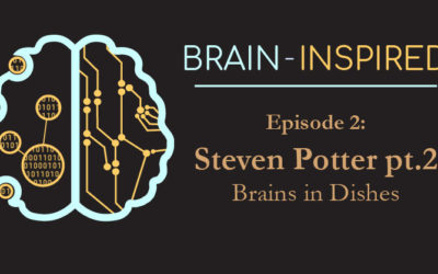 BI 002 Steven Potter Part 2: Brains in Dishes