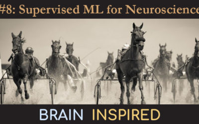 BI 008 Joshua Glaser: Supervised ML for Neuroscience