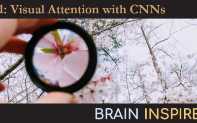 BI 011 Grace Lindsay: Visual Attention in CNNs