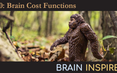 BI 010 Adam Marblestone: Brain Cost Functions