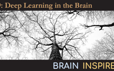 BI 009 Blake Richards: Deep Learning in the Brain