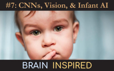 BI 007 Daniel Yamins: Infant AI and CNNs