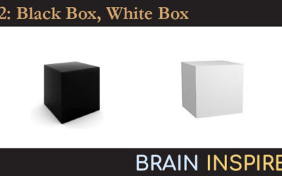 BI 012 Niko Kriegeskorte: Black Box, White Box