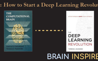 BI 015 Terrence Sejnowski: How to Start a Deep Learning Revolution