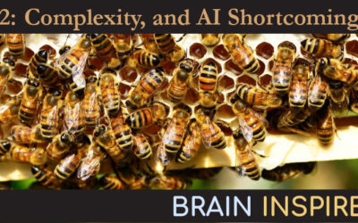 BI 022 Melanie Mitchell: Complexity, and AI Shortcomings