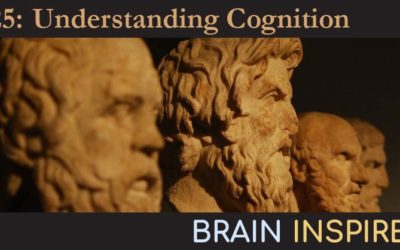 BI 025 John Krakauer: Understanding Cognition