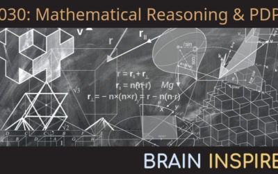 BI 030 Jay McClelland: Mathematical Reasoning and PDP