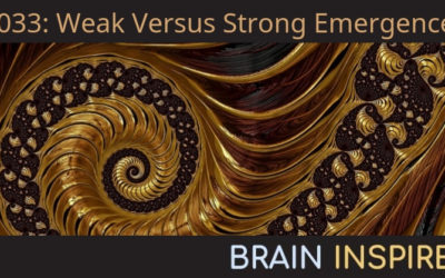 BI 033 Federico Turkheimer: Weak Versus Strong Emergence