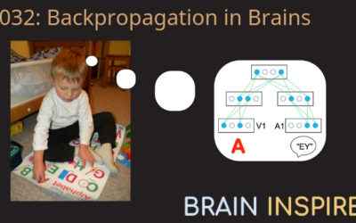 BI 032 Rafal Bogacz: Back-Propagation in Brains