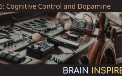 BI 036 Roshan Cools: Cognitive Control and Dopamine