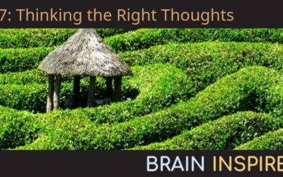 BI 037 Nathaniel Daw: Thinking the Right Thoughts