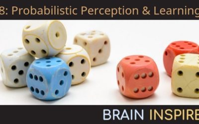 BI 038 Máté Lengyel: Probabilistic Perception and Learning