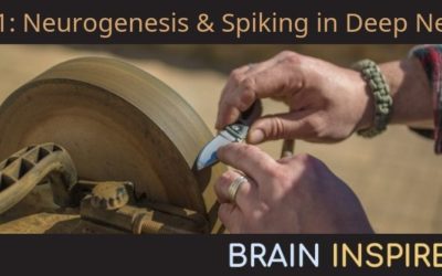 BI 041 Brad Aimone: Neurogenesis and Spiking in Deep Nets