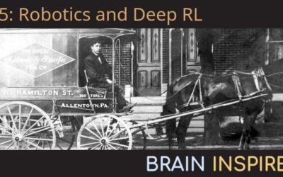 BI 045 Raia Hadsell: Robotics and Deep RL