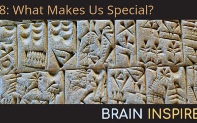 BI 048 Liz Spelke: What Makes Us Special?