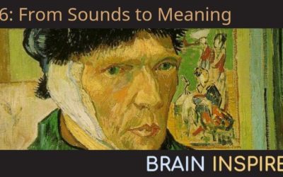 BI 046 David Poeppel: From Sounds to Meanings