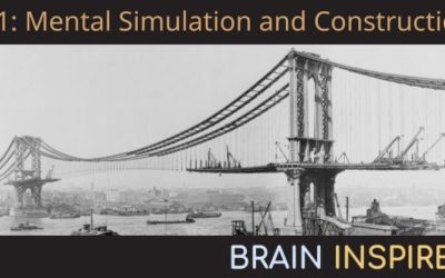 BI 051 Jess Hamrick: Mental Simulation and Construction