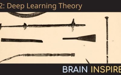 BI 052 Andrew Saxe: Deep Learning Theory