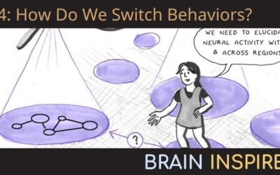 BI 054 Kanaka Rajan: How Do We Switch Behaviors?