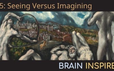 BI 055 Thomas Naselaris: Seeing Versus Imagining