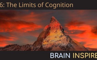 BI 056 Tom Griffiths: The Limits of Cognition