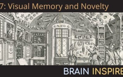 BI 057 Nicole Rust: Visual Memory and Novelty