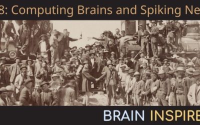 BI 058 Wolfgang Maass: Computing Brains and Spiking Nets