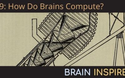 BI 059 Wolfgang Maass: How Do Brains Compute?