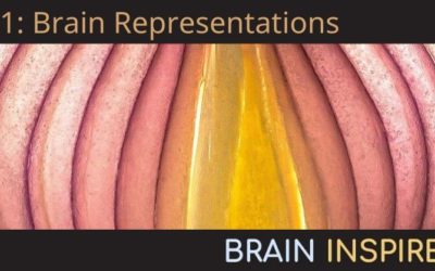 BI 061 Jörn Diedrichsen and Niko Kriegeskorte: Brain Representations