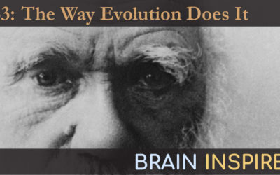 BI 063 Uri Hasson: The Way Evolution Does It