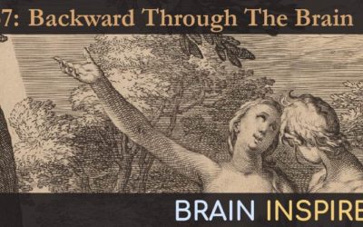 BI 067 Paul Cisek: Backward Through The Brain