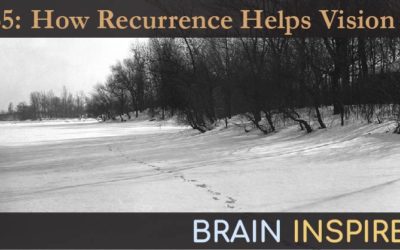 BI 065 Thomas Serre: How Recurrence Helps Vision