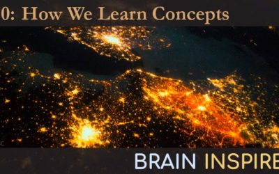 BI 070 Bradley Love: How We Learn Concepts