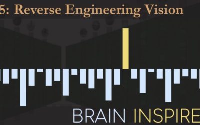 BI 075 Jim DiCarlo: Reverse Engineering Vision
