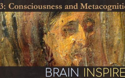 BI 073 Megan Peters: Consciousness and Metacognition