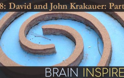 BI 078 David and John Krakauer: Part 2