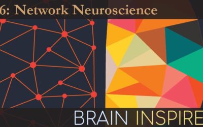 BI 076 Olaf Sporns: Network Neuroscience