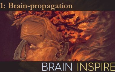 BI 081 Pieter Roelfsema: Brain-propagation