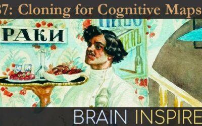 BI 087 Dileep George: Cloning for Cognitive Maps