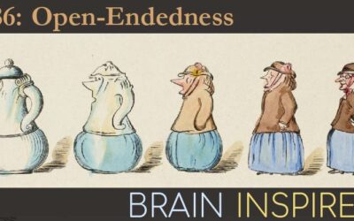 BI 086 Ken Stanley: Open-Endedness