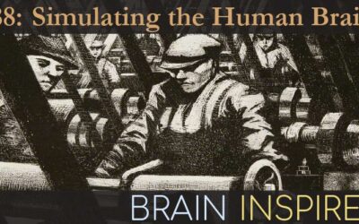 BI 088 Randy O’Reilly: Simulating the Human Brain