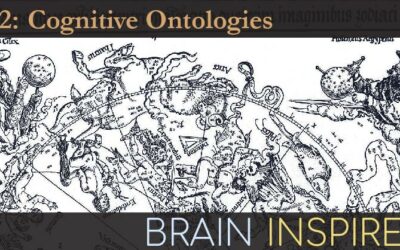 BI 092 Russ Poldrack: Cognitive Ontologies