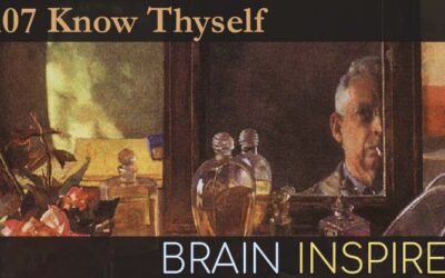 BI 107 Steve Fleming: Know Thyself