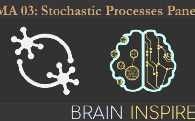 BI NMA 03: Stochastic Processes Panel