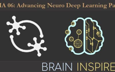 BI NMA 06: Advancing Neuro Deep Learning Panel