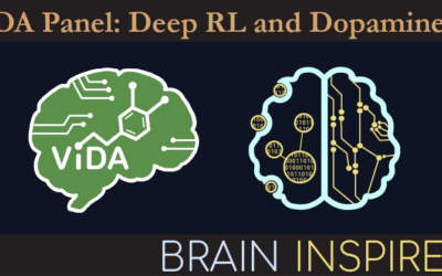 BI ViDA Panel Discussion: Deep RL and Dopamine