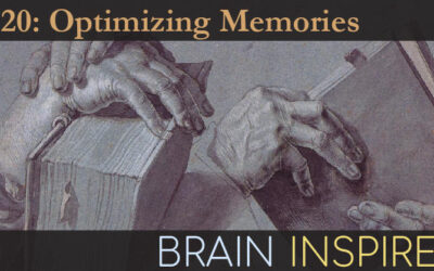 BI 120 James Fitzgerald, Andrew Saxe, Weinan Sun: Optimizing Memories